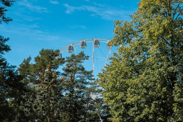 Palanga Ferris Wheel Lithuania Beautiful Summer Palanga — Stockfoto