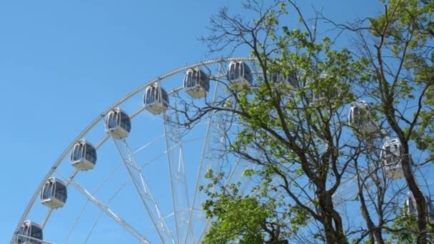Palanga Ferris Wheel Lithuania Beautiful Summer Palanga Lithuania — Stock Video