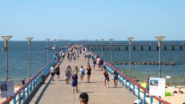Pier Palanga Palanga Seaside Resort Town Western Lithuania Shore Baltic — Video Stock