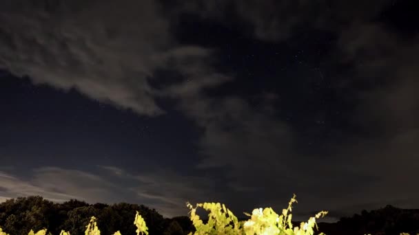 Bellissimo Cielo Notturno Sul Vulcano Etna Milioni Stelle Nel Cielo — Video Stock