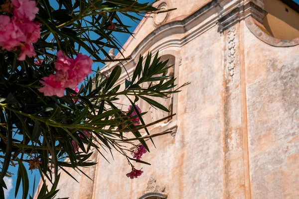 Ανθισμένο Δέντρο Θέα Μπαρόκ Στυλ Chiesa San Giuseppe Μητρόπολη Όμορφη — Φωτογραφία Αρχείου
