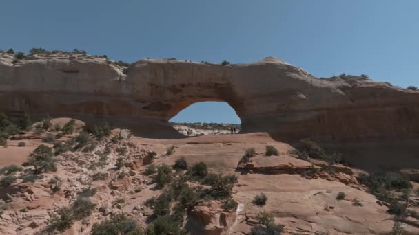 Légi Kilátás Arizonai Nemzeti Park Usa Csodálatos Rock Formáció Hullám — Stock videók