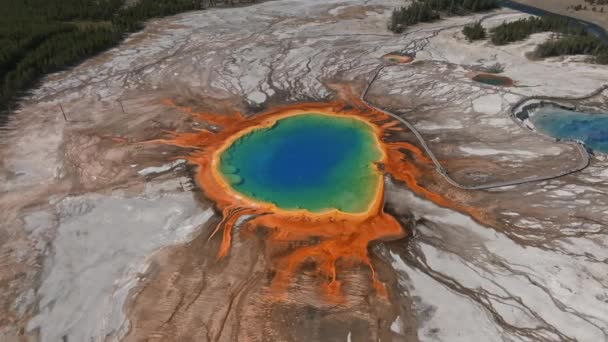 Grand Prismatic Spring View Vid Yellowstone National Park Flygfoto Scenisk — Stockvideo