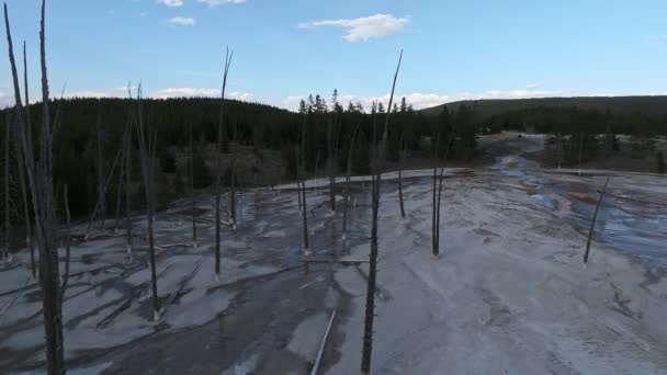 美しい噴水 ペイントポットの歩道間欠泉 沸騰した泥のプールとワイオミング州のイエローストーン国立公園の燃えた木の間 — ストック動画