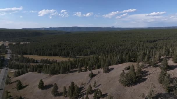 Foresta Bruciata Alberi Parco Nazionale Yellowstone Nel Wyoming Stati Uniti — Video Stock