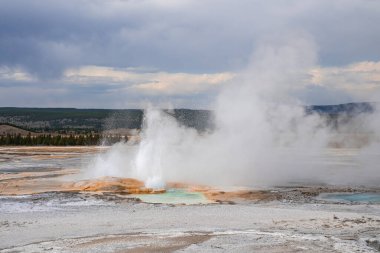 Jeotermal ortamın ortasındaki Clepsydra Gayzer 'den buhar yayılımının manzarası. Yellowstone Ulusal Parkı 'ndaki ormanda sıcak su kaynağı patlamış. Arka planda bulutlu gökyüzü olan ünlü bir yer.