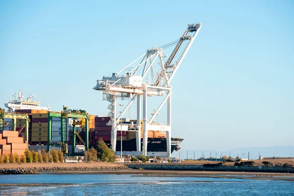 San Francisco Usa Cranes Loading Cargo Containers Ship Sky Background — Stock Photo, Image