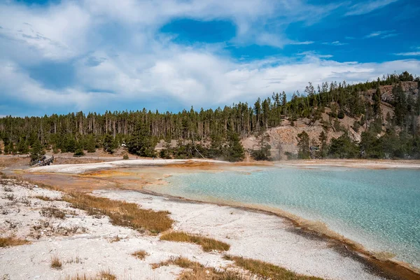 Vista Panorámica Vapor Emitido Por Bosque Desde Cuenca Géiseres Paisaje — Foto de Stock