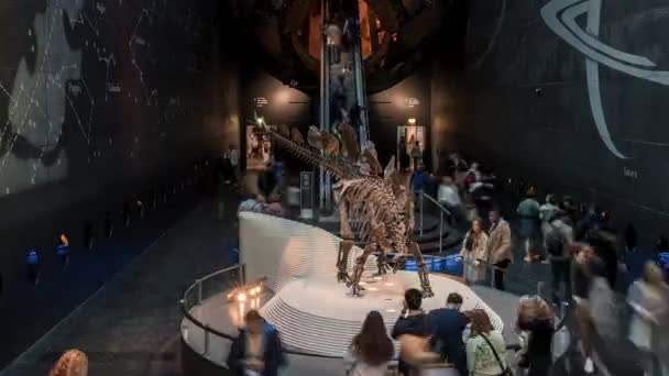 在自然历史博物馆入口处的史达古龙骨架的时间 参观伦敦博物馆的游客 — 图库视频影像