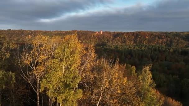 黄金の秋の季節の間にTuraida城の素晴らしい空中4Kビデオ ラトビアのシグルダで日の出の時間 最も人気のある観光地 — ストック動画