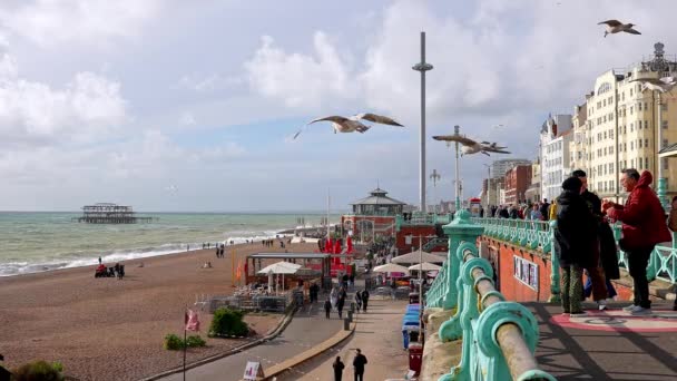 Lidé Kráčející Promenádě Pláže Brightonu Rekreační Město Moře Užívám Atmosféru — Stock video