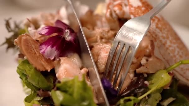 Close Video Van Met Hand Gesneden Geroosterde Zalmsteak Kreeft Met — Stockvideo