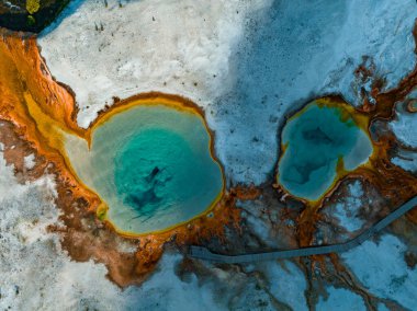 Sıcak su ve buharlı güzel gayzerler. Birleşik Devletler 'in Wyoming eyaletindeki Yellowstone Ulusal Parkı' nın Yukarı Gayzer Havzasında termofilik bakteri havuzları var..
