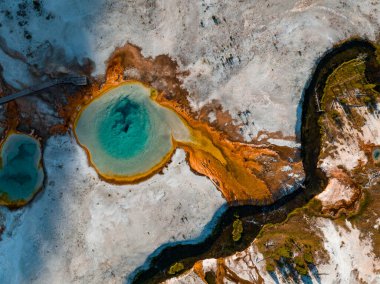 Sıcak su ve buharlı güzel gayzerler. Birleşik Devletler 'in Wyoming eyaletindeki Yellowstone Ulusal Parkı' nın Yukarı Gayzer Havzasında termofilik bakteri havuzları var..