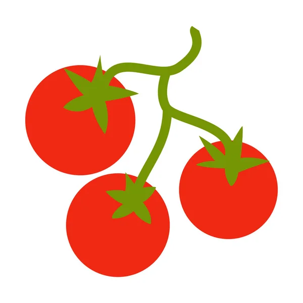 Tomates Vector Aislado Diseño Plano Sobre Fondo Blanco — Vector de stock