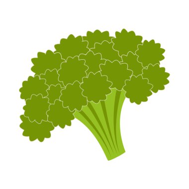 Brokolinin vektör çizimi, doğal besin bileşeni
