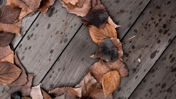 Muchas Hojas Naranjas Otoño Suelo Madera Con Gotas Lluvia Vista — Foto de Stock