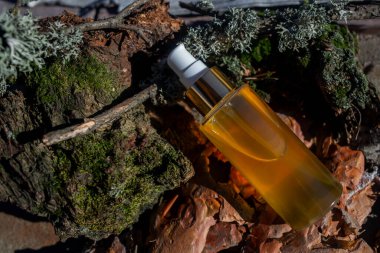 Bir şişe yağ ağaç kabuğu ve yosun üzerinde uzanıyor ve güneş tarafından aydınlatılıyor.