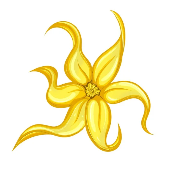 Flor de Ylang ylang aislada sobre un fondo blanco — Foto de Stock