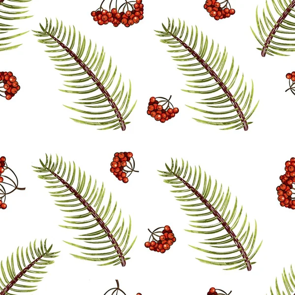 Seamless pattern of spruce twigs and viburnum berries — Stockfoto