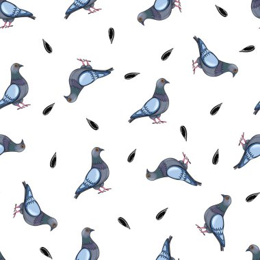 Güvercin ve tohumların kusursuz deseni.