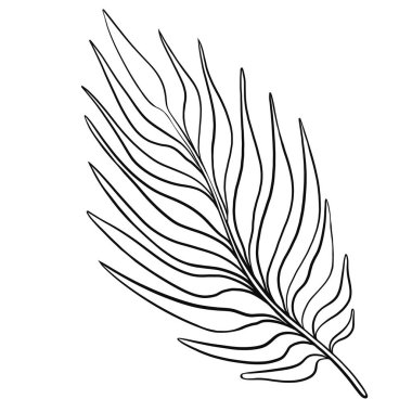 Beyaz arka planda siyah yaprakların ana hatları