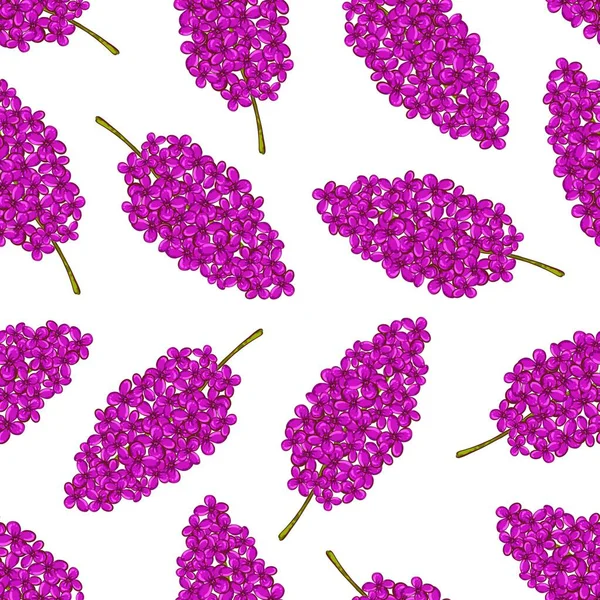 Seamless pattern of lilac branch on white background — Stockfoto