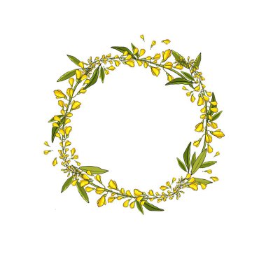 Bir çiçek çelengi ve yapraklı tatlı yonca dalları..