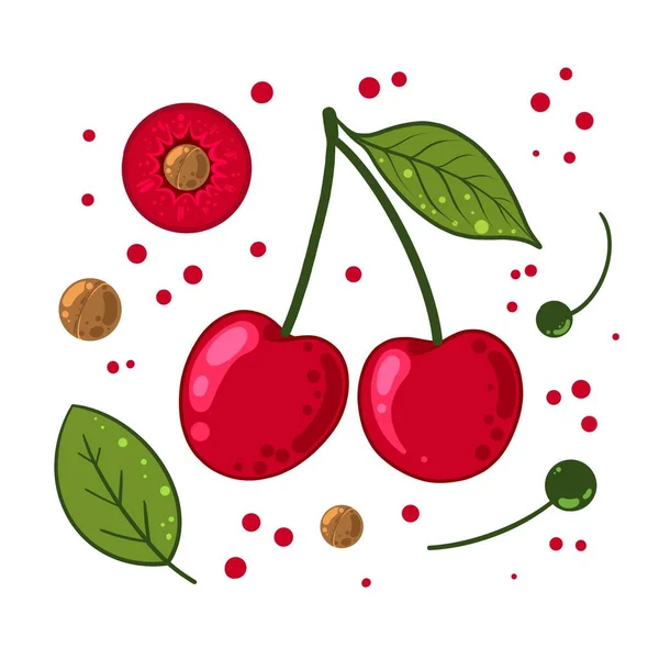 Set ciliegie rosse e verdi con foglie — Foto Stock