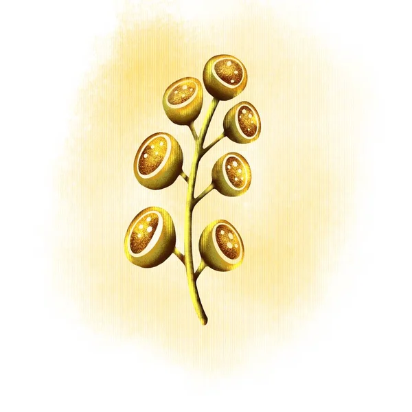 テキスタイルの背景にユーカリの種枝 — ストック写真
