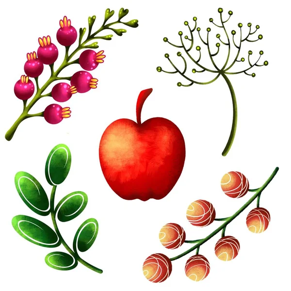 赤いリンゴと熱帯の小枝のセット — ストック写真