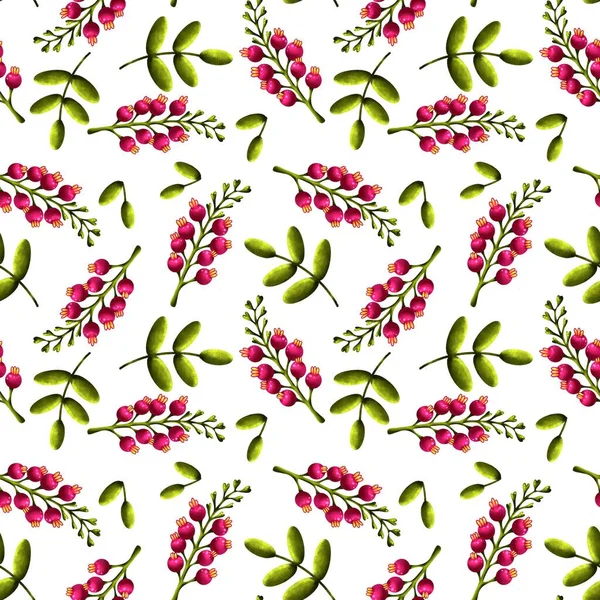 나뭇잎이 달린 분홍빛 열매 가지 의무성 한 무늬 — 스톡 사진