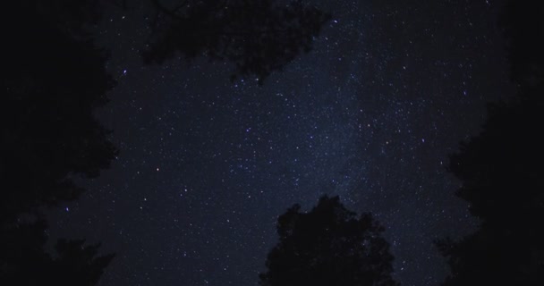 Night sky galaxy Milky Way. Through the trees — Stock Video