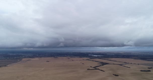 Nuvole di pioggia in un campo di grano pazzo — Video Stock