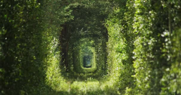 ウクライナのペッキング村の愛のトンネル — ストック動画