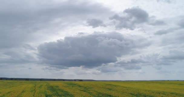 Μεγάλο σύννεφο βροχής σε ένα χωράφι με κραμβόσπορους — Αρχείο Βίντεο