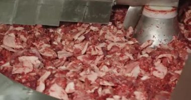 Et, domuz yağı ve baharatları büyük bir santrifüjde doğra. Yüksek kalite 4k görüntü