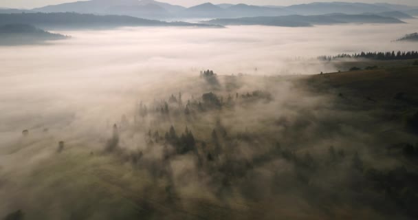 Nébuleuse Dense Recouvrant Toute Surface Des Montagnes Les Carpates Images — Video