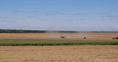 Birçok hasatçı buğday tarlasında hasat eder. 