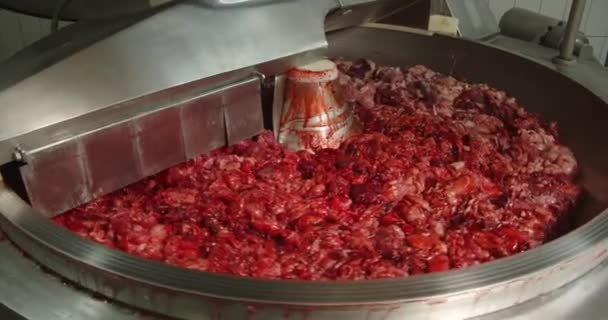 In una grande centrifuga, marinare la carne con pollo e spezie. — Video Stock