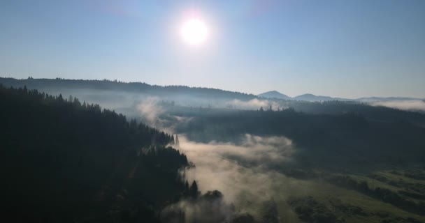 Vlucht over de bergen bedekt met dichte bossen — Stockvideo