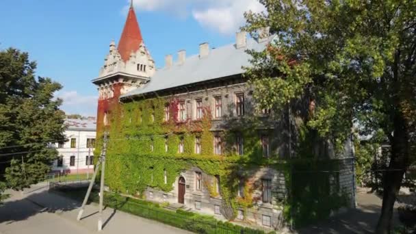 Brody 'nin Ukrayna' daki Pedagoji Üniversitesi 'nde havadan çekilmiş fotoğrafı. — Stok video