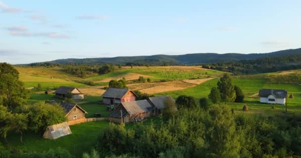 Het platteland. Karpaten. Veld met de oogst — Stockvideo