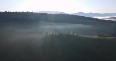 Karpatların Dağlarında Sis var. Dağların Üzerinde Gün Doğumu