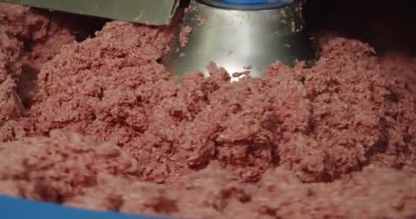Especiarias são adicionadas à carne picada em uma centrifugadora e misturadas até ficarem lisas — Vídeo de Stock