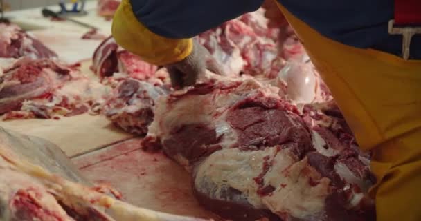 A carne é desenvolvida na fábrica de embalagem de carne com uma faca afiada — Vídeo de Stock
