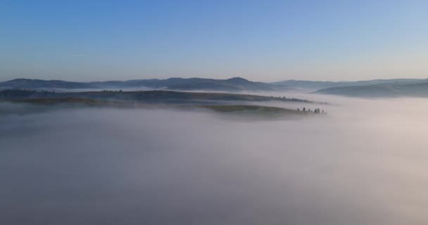 Dikke mist bedekte de Hoge Bergen. De dageraad in de Karpaten — Stockvideo