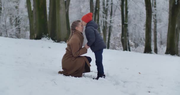 Ein kleiner Junge und seine Mutter gehen in einem verschneiten Park spazieren. Der Junge küsst die Mutter — Stockvideo