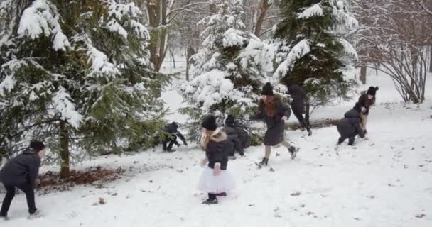 Feliz travieso niños teniendo bola de nieve jugar lucha en un hermoso parque cubierto de nieve. — Vídeo de stock