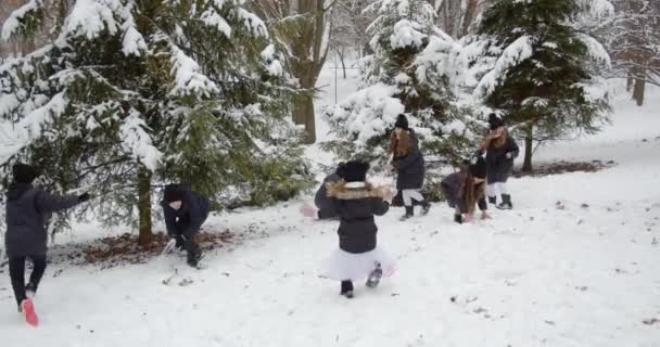 Joyeux vilains enfants qui jouent à la boule de neige se battent dans un beau parc enneigé. — Video